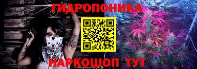 a pvp Владивосток