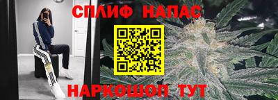 тгк Владикавказ